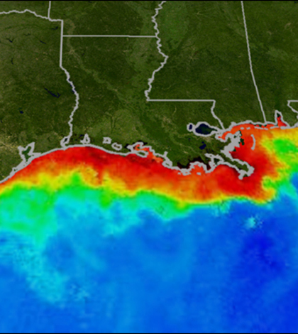 A graphic of the dead zone (depicted in red) along the Gulf Coast (Credit: NOAA)