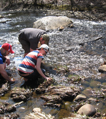Students investigate sediment in the Little River near the Westfield campus (Credit: Tarin Weiss)