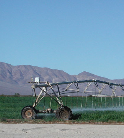 Irrigation in the Amargosa Desert uses water from the Death Valley Region Aquifer. (Photo courtesy of David Stonestrom / U.S. Geological Survey)