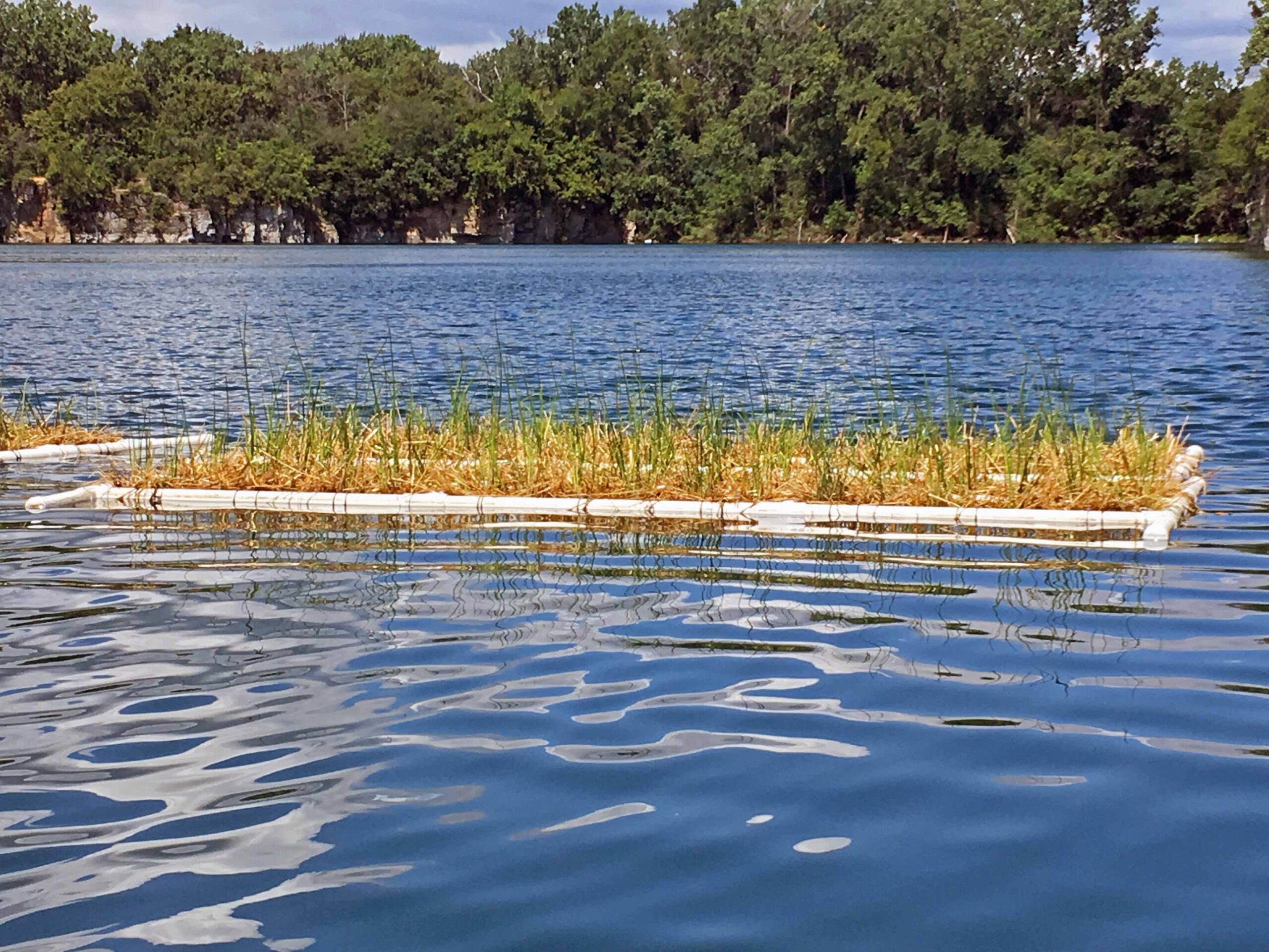 Floating Islands Used to Improve Water Quality at Racine Park