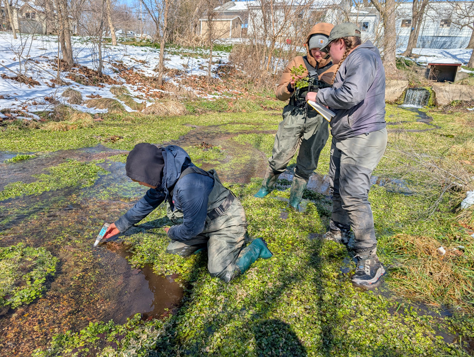 (From left to right) Arkansas tech students Frida Martinez, Brianna Winchester, and Savannah Wise collect water quality data from Elm Spring.