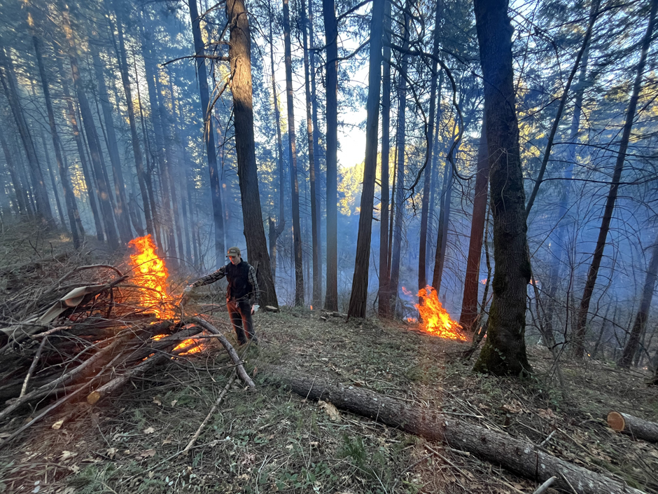 A local prescribed fire crew (First Rain Land Stewardship) burning piles at the Yuba Watershed Institute's Little Deer Creek Landscape Resilience Project.