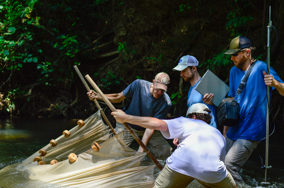 Researchers at the University of Georgia's River Basin Center seining for fish in the Etowah River, GA.
