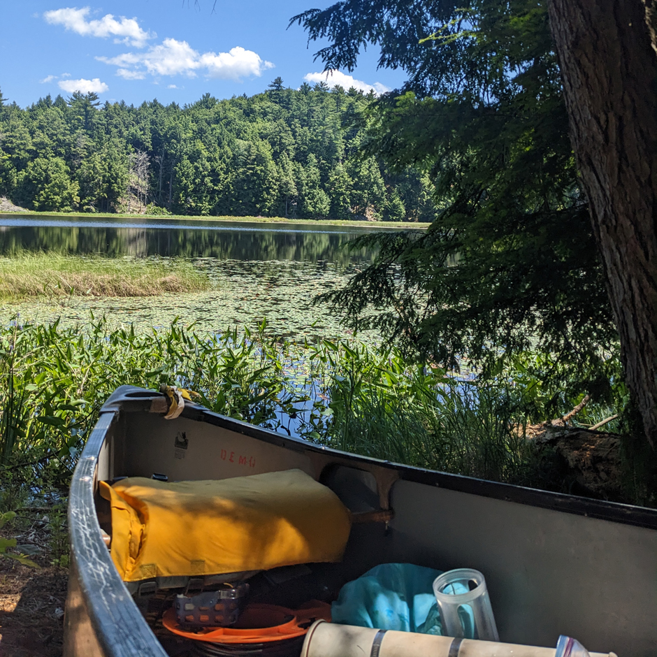 The canoe at Spruce Pond, Orwell.