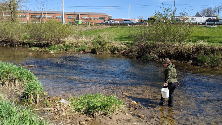 Several sampling locations are adjacent to schools, allowing for direct partnership with K-12 teachers and students to participate in water monitoring.
