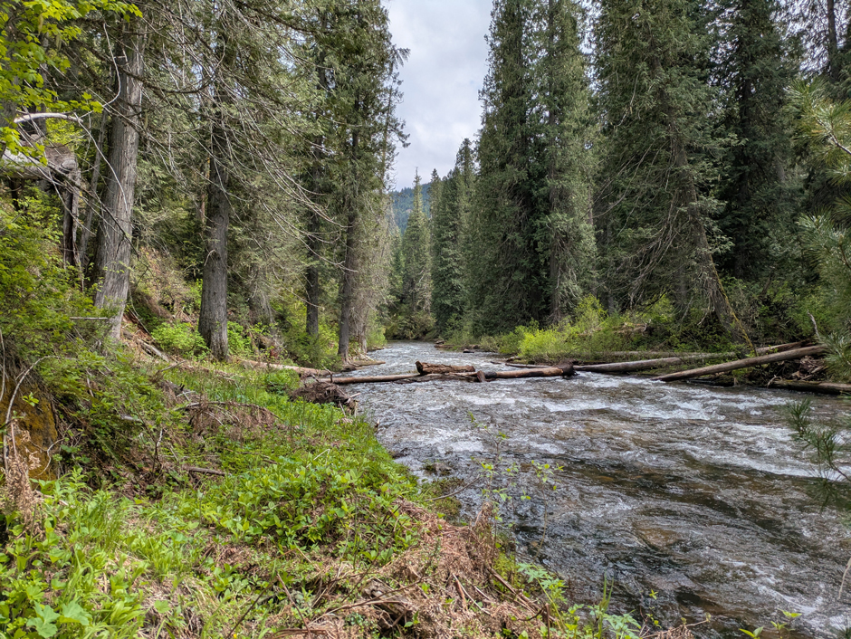 Stony Creek a few hours hike downstream.