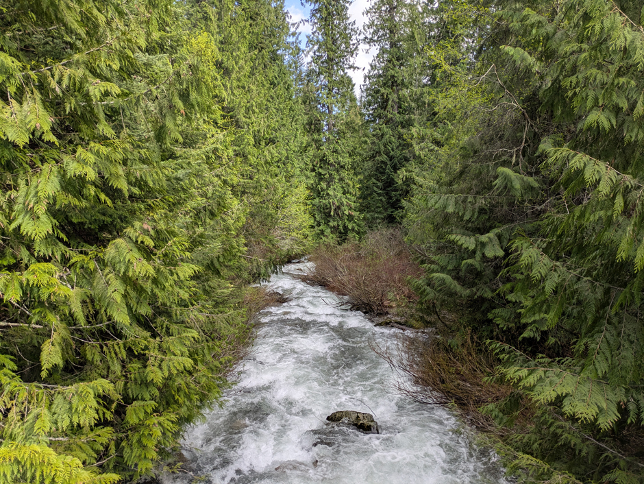 A high elevation stretch of Floodwater Creek showing high Spring flow.