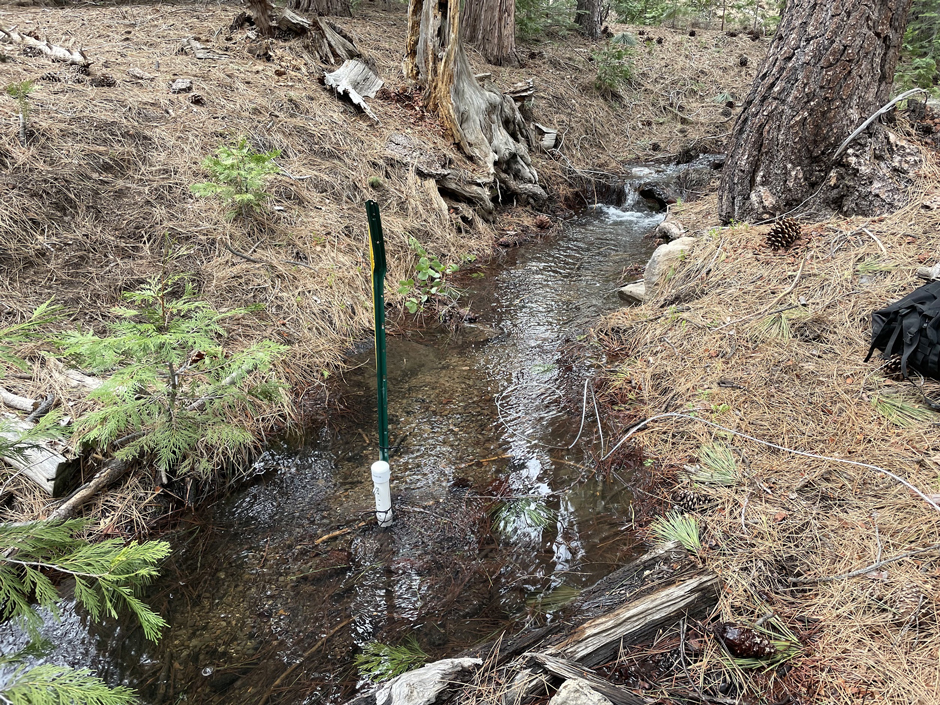 To monitor changes in flow through one of the headwater streams of Dog Creek, a Solinst Levelogger has been deployed on a stable fence post in white PVC housing. The pressure measurements from the logger are paired with direct measurements of stream discharge to create a rating curve.