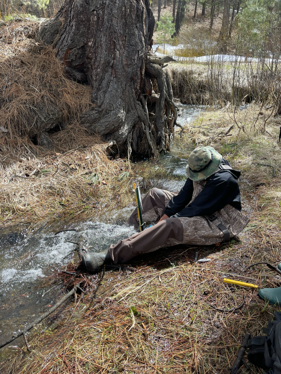 UNR graduate student Dre Presswood maintaining a Solinst Levelogger at a headwater stream in the Dog Creek watershed during peak spring snowmelt and runoff.