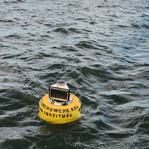 The CB-75 buoy is the smallest in the NexSens offer, and its ease of deployment was an important factor when choosing the best platform.