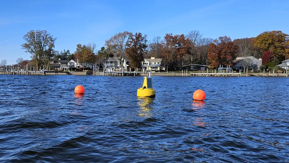 The buoy in the water, against a sunny autumn backdrop.