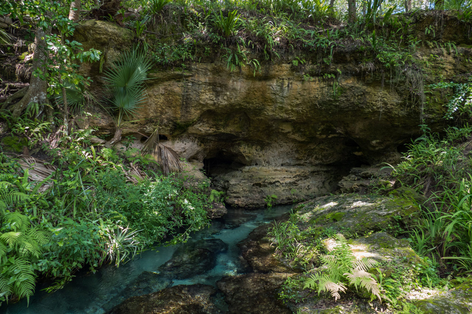 Rock Spring, which is an Outstanding Florida Spring within the St. Johns River Water Management District.