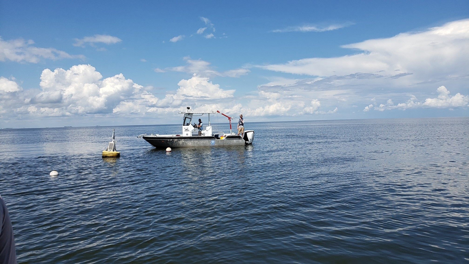 The buoys offer a flexible deployment platform, and Councilman’s team can adjust the payload to meet specific partner needs and research goals.