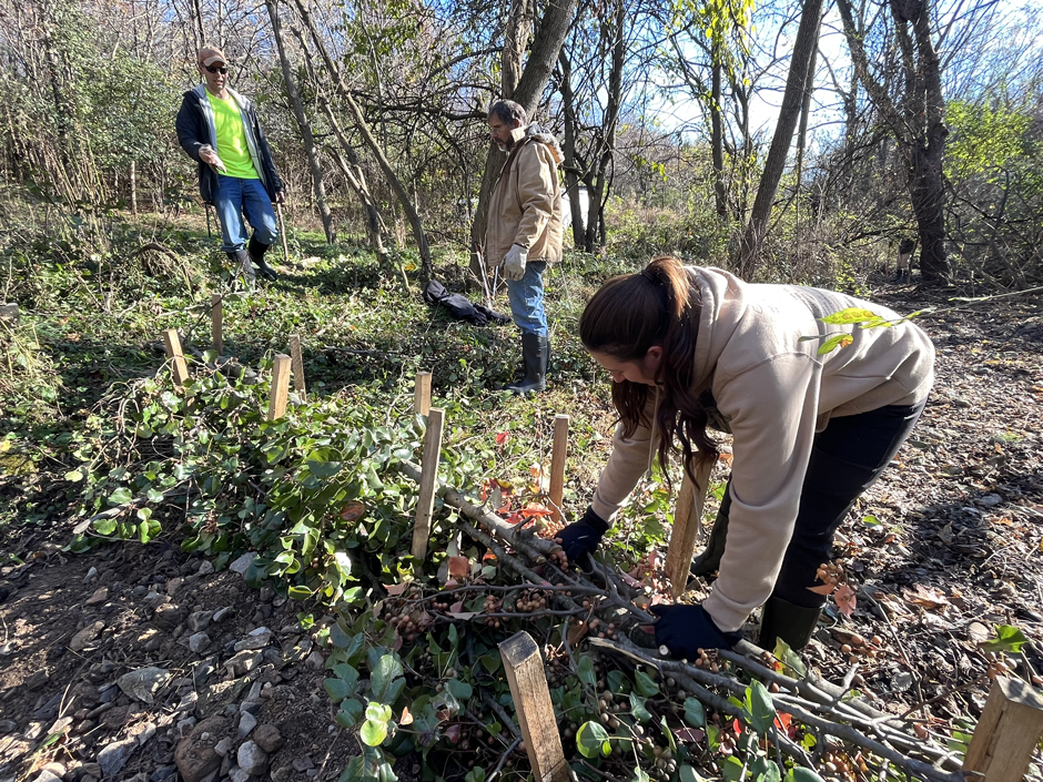 Some dams were built wider and lower, depending on channel morphology.