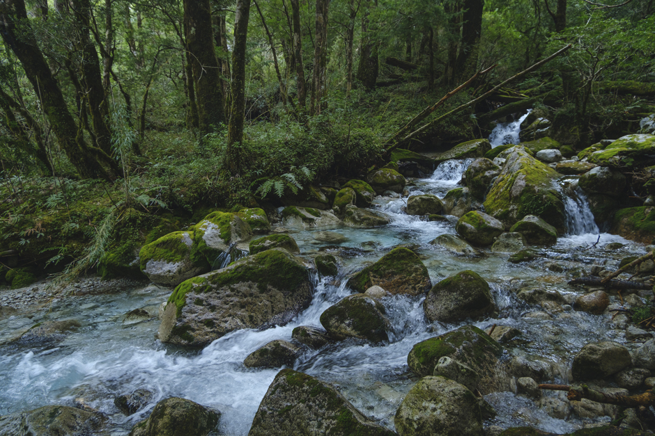 The Cochamó River is 40-kilometers long and rises in the Andes Mountains, flows through Valle Cochamó, and empties into the Reloncaví Estuary. Its watershed was among the first to be protected in Chile, thanks to the local organization Conservación Cochamó, which successfully opposed the construction of a seven-dam hydropower project