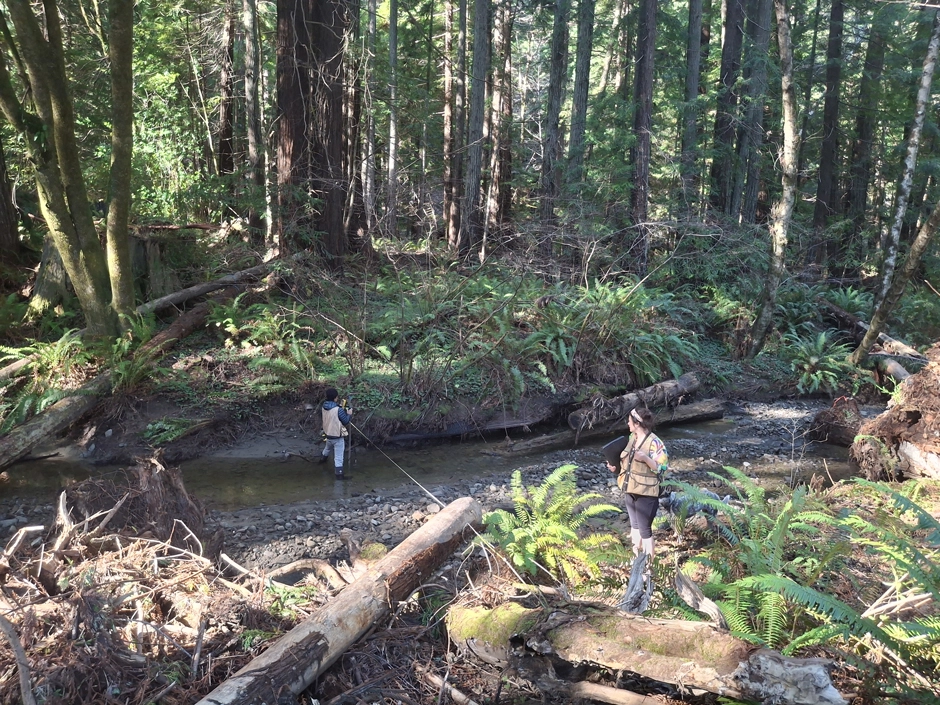 PWA Hydrologists measure discharge in Cooper Mill Creek as part of this ecosystem restoration project.