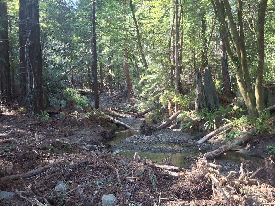 Placing large wood in streams has many benefits for aquatic ecosystems. These include altering flow patterns and storing gravel that is essential for spawning salmonids.