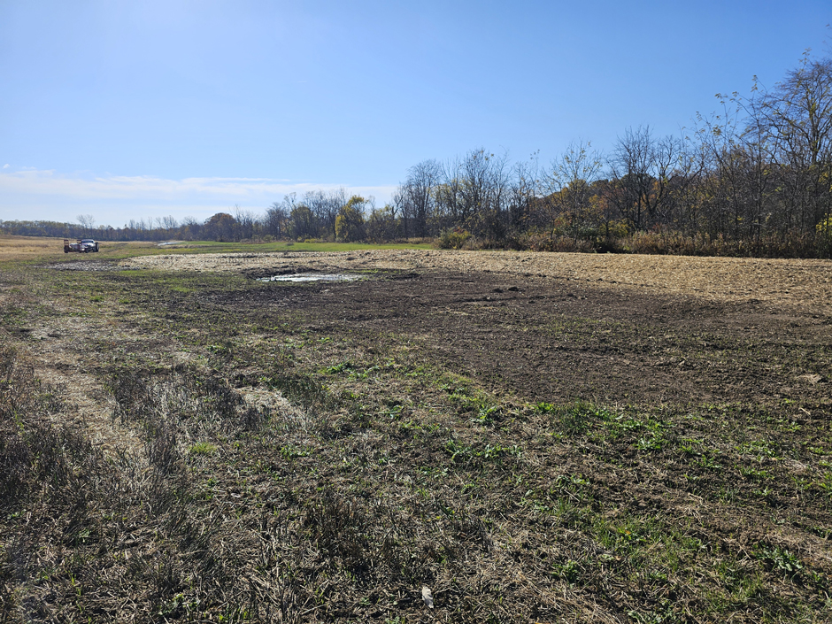 A restored wetland approximately one month after construction in October 2025. Tree and shrub planting to follow in spring 2026.