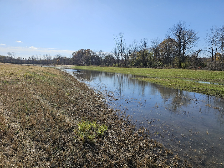 A restored wetland approximately two months after construction in October 2025. Tree and shrub planting to follow in spring 2026.