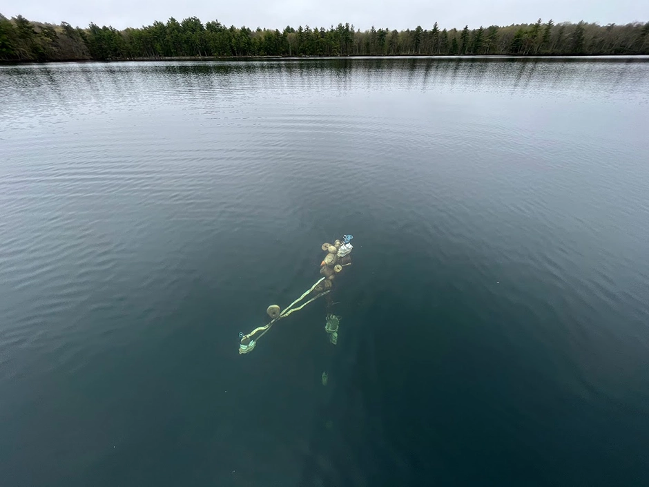 Aerial view of the sub-surface sensor string in Lake Giles. Sensors measuring photosynthetically active radiation (PAR) are affixed to a cross arm at two different depths to measure light attenuation through the water column.