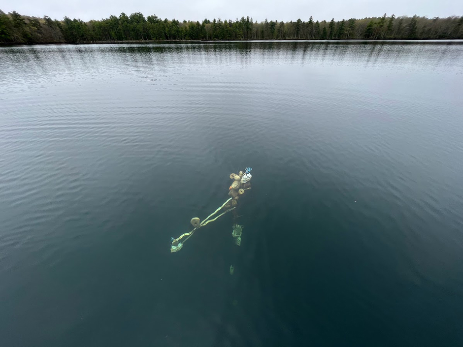 Aerial view of the sub-surface sensor string in Lake Giles. Sensors measuring photosynthetically active radiation (PAR) are affixed to a cross arm at two different depths to measure light attenuation through the water column.