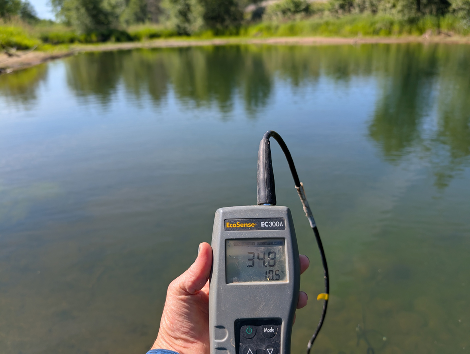 Water temperature in a gravel pit that is now being restored.